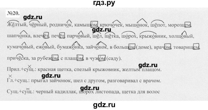 ГДЗ по русскому языку 7 класс  Баранов   упражнение - 20, Решебник №2 к учебнику 2015