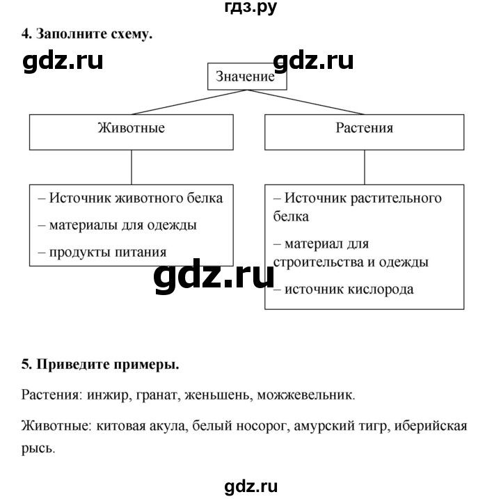 ГДЗ по географии 6 класс Болотникова тетрадь-практикум (Домогацких)  страница - 92, Решебник