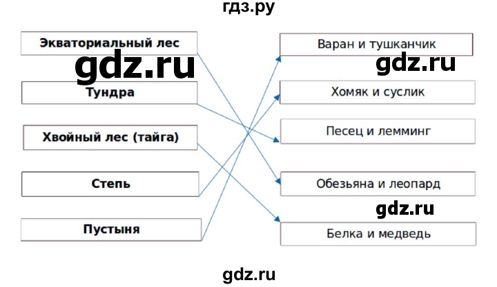 ГДЗ по географии 6 класс Дронов рабочая тетрадь  биосфера (задание) - 20, Решебник
